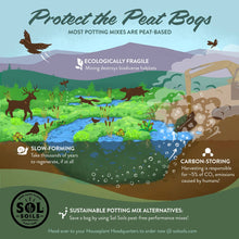 Load image into Gallery viewer, Bonsai Gritty Mix