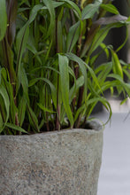 Load image into Gallery viewer, Mt. Hunter, Diorite Grey