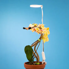Load image into Gallery viewer, Adjustable LED Plant Light