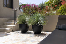 Load image into Gallery viewer, Jesslyn Planter, Black