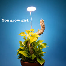 Load image into Gallery viewer, Adjustable LED Plant Light