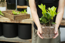 Load image into Gallery viewer, Houseplant Chunky Mix (Aroid/Tropical Mix)