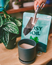 Load image into Gallery viewer, 4qt Organic potting soil mix, indoor, houseplant & herbs