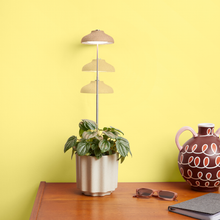 Load image into Gallery viewer, Instant Sun Grow Lamp