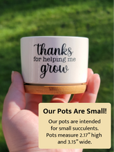 Load image into Gallery viewer, Succulent Pot, Dad 3"