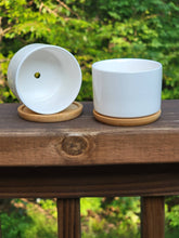 Load image into Gallery viewer, Succulent Pot, Drama Queen 3"