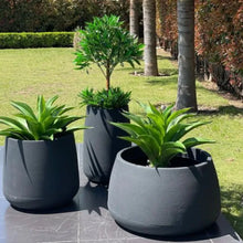 Load image into Gallery viewer, Bios Mixed Planter