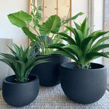 Load image into Gallery viewer, Round Rustic Pot