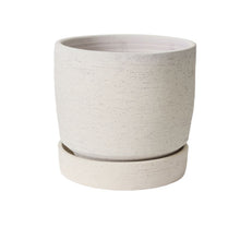 Load image into Gallery viewer, Salvage Pot w/ Saucer