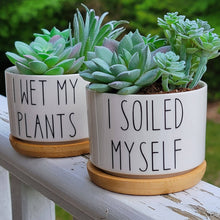 Load image into Gallery viewer, Funny Succulent Pots 3"