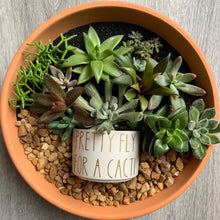 Load image into Gallery viewer, Funny Succulent Pots 3"