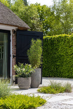 Load image into Gallery viewer, Mt. Russel, Diorite Grey