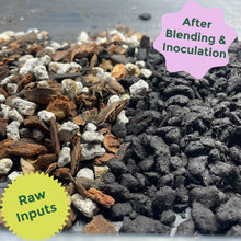 Load image into Gallery viewer, 4qt Organic Cactus & Succulent Mix