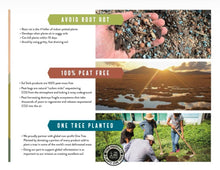 Load image into Gallery viewer, Chunky Perlite 1QT