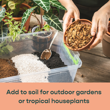 Load image into Gallery viewer, Coco Chip, Chunky Coconut Husk