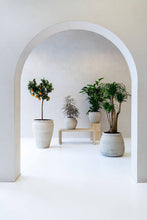 Load image into Gallery viewer, Artemis Planter, Chalk White