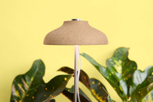 Load image into Gallery viewer, Instant Sun Grow Lamp