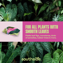Load image into Gallery viewer, Houseplant Cleaning Wipes