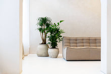 Load image into Gallery viewer, Hestia, Chalk White