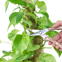 Load image into Gallery viewer, Slim Garden Utility Shears