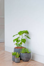 Load image into Gallery viewer, Charlie Planter, Black Washed