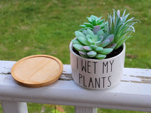 Load image into Gallery viewer, Funny Succulent Pots 3"