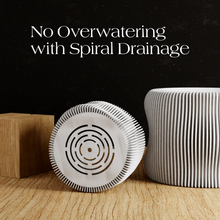 Load image into Gallery viewer, BUBBLY Planter