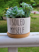 Load image into Gallery viewer, Funny Succulent Pots 3"