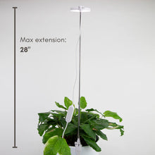 Load image into Gallery viewer, Adjustable LED Plant Light