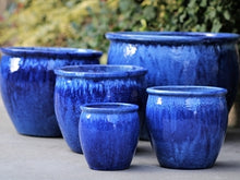 Load image into Gallery viewer, Fishbowl Garden Planter