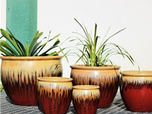 Load image into Gallery viewer, Fishbowl Garden Planter