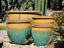 Load image into Gallery viewer, Fishbowl Garden Planter