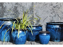 Load image into Gallery viewer, Fishbowl Garden Planter