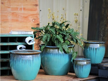 Load image into Gallery viewer, Fishbowl Garden Planter