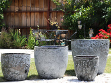 Load image into Gallery viewer, Coco Pots, Coral