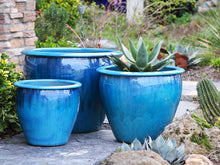 Load image into Gallery viewer, Fish Bowl Pots