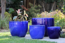 Load image into Gallery viewer, Egg Shell Pots