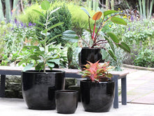 Load image into Gallery viewer, Egg Shell Pots