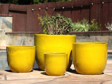 Load image into Gallery viewer, Egg Shell Pots