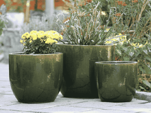 Load image into Gallery viewer, Egg Shell Pots