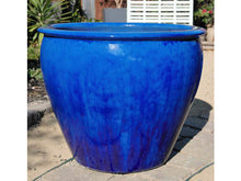 Load image into Gallery viewer, Fish Bowl Pots