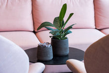 Load image into Gallery viewer, Patt, Black Washed