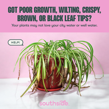 Load image into Gallery viewer, Houseplant Tap Water Conditioner