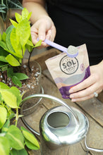 Load image into Gallery viewer, Sol Biotics - Repot Recovery