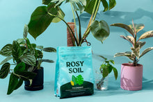 Load image into Gallery viewer, 4qt Organic potting soil mix, indoor, houseplant & herbs