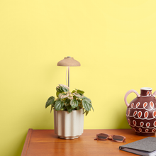 Load image into Gallery viewer, Instant Sun Grow Lamp