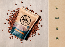 Load image into Gallery viewer, LECA Balls Amendments