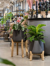 Load image into Gallery viewer, Patt Low Feet, Black Washed