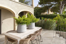 Load image into Gallery viewer, Patt, Grey Washed