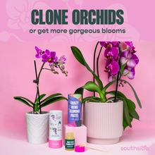 Load image into Gallery viewer, Crazy Keiki Cloning Paste